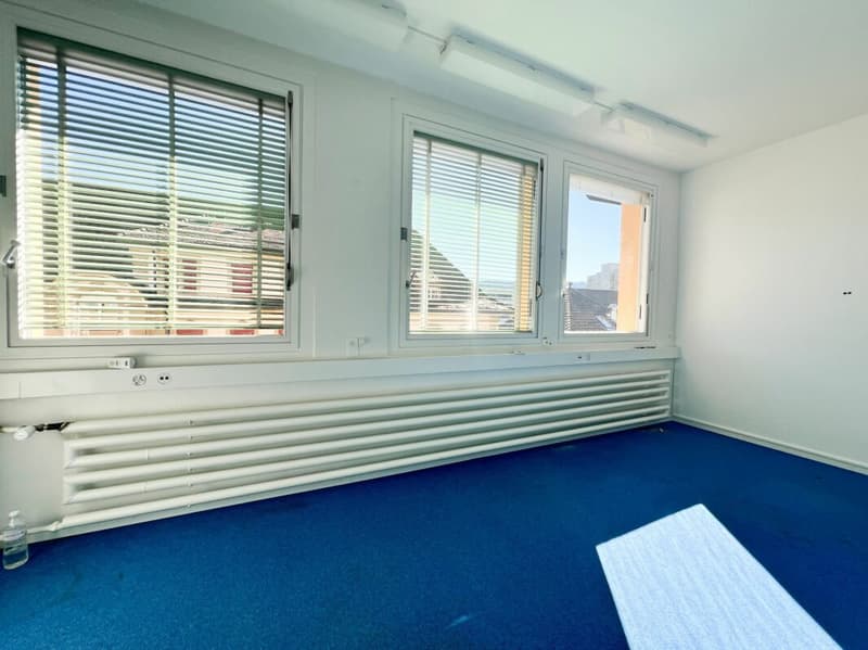 Locaux à louer de 235m2 modulables - idéal pour atelier-bureau (5)