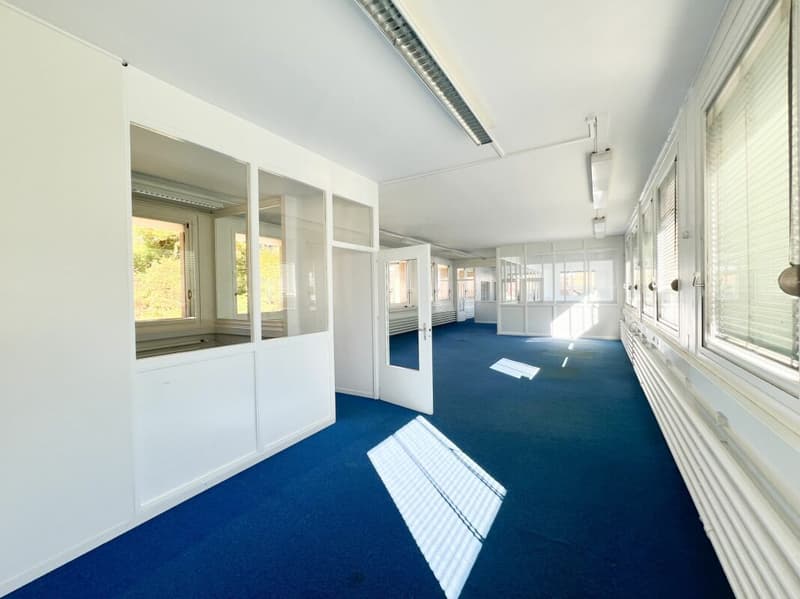 Locaux à louer de 235m2 modulables - idéal pour atelier-bureau (4)