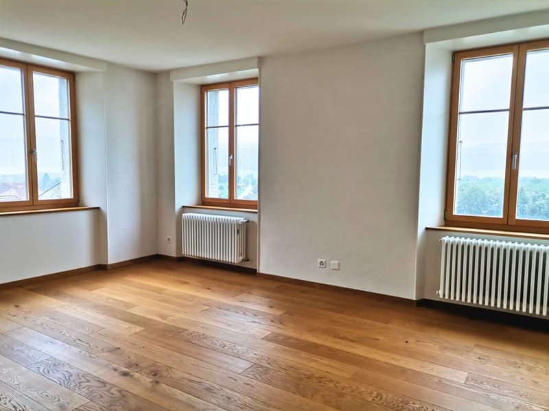 Superbe appartement de 5 pièces avec vue dégagée (4)