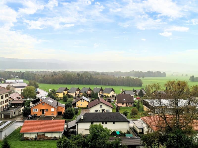 Superbe appartement de 5 pièces avec vue dégagée (14)