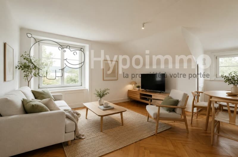Lumineux appartement de 3 pièces avec vue dégagée (1)