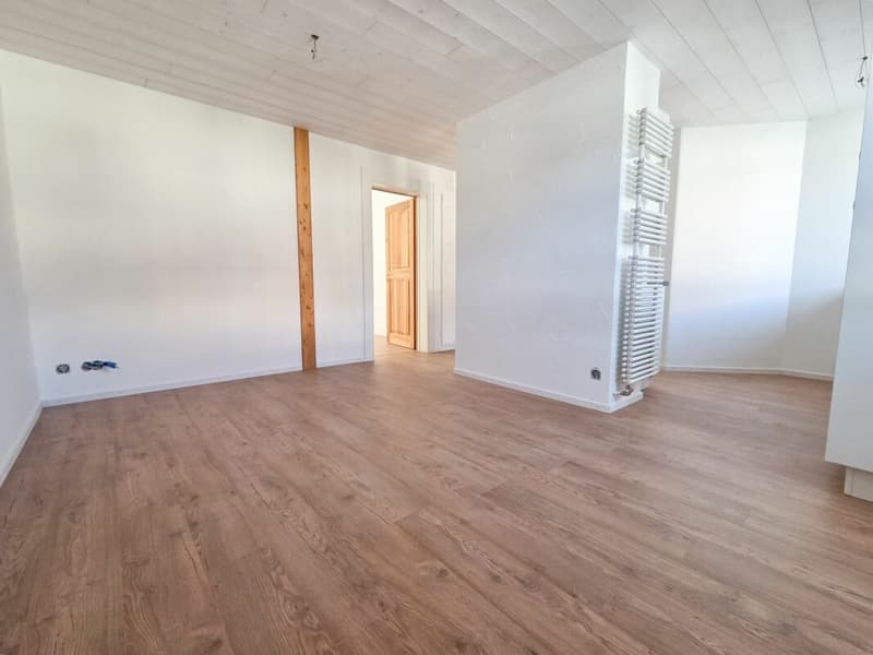 Appartement de 2.5 pièces refait à neuf ! (5)