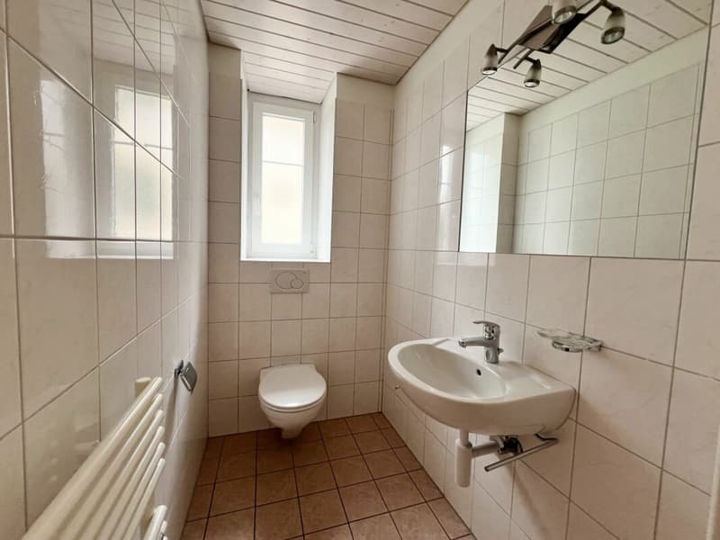 Spacieux et lumineux appartement de 4.5 pièces (6)