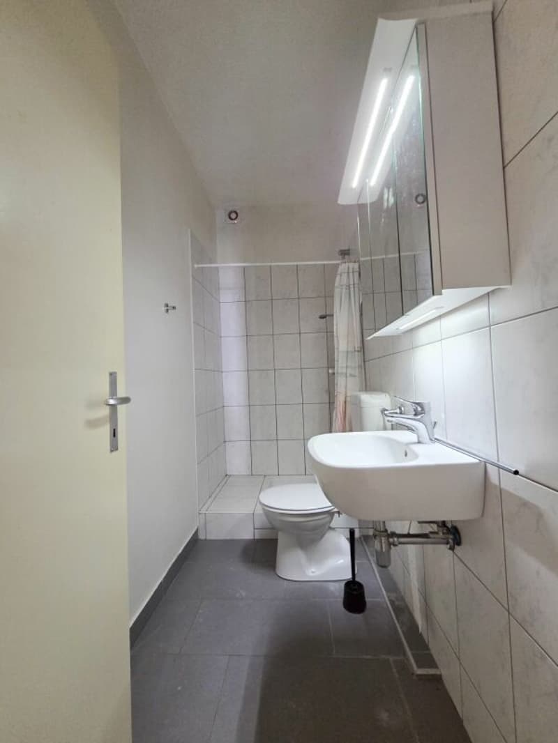 Appartement de 2 pièces au rez (7)