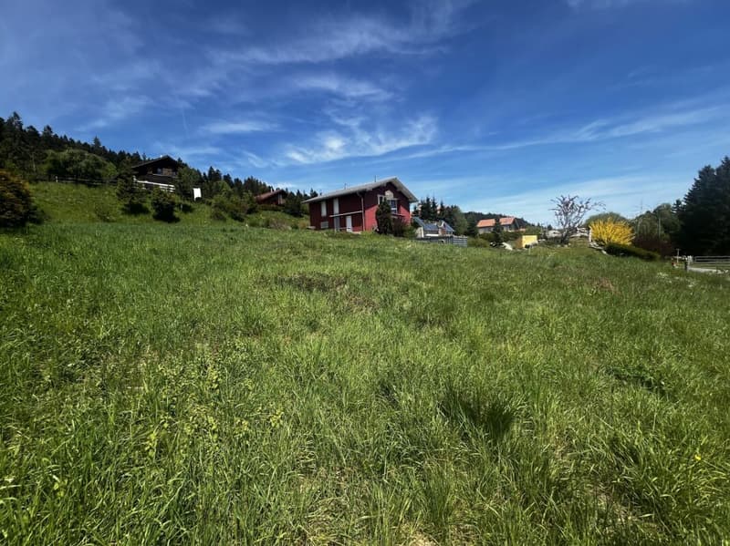 Terrain à bâtir en Zone d'Habitation à Faible Densité (3)