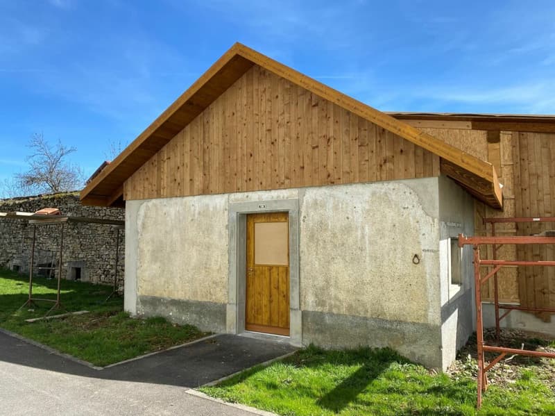 Bel appartement de 4.5 pièces avec jardin privatif (13)