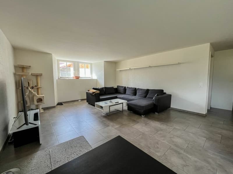 Bel appartement de 4.5 pièces avec jardin privatif (4)
