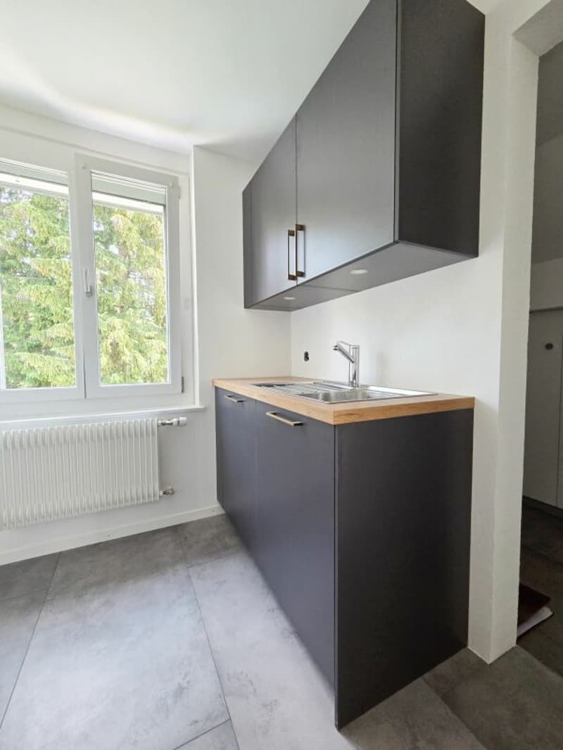 Magnifique appartement de 4.5 pièces entièrement rénové (6)