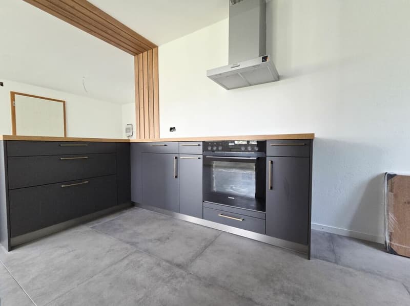 Magnifique appartement de 4.5 pièces entièrement rénové (5)
