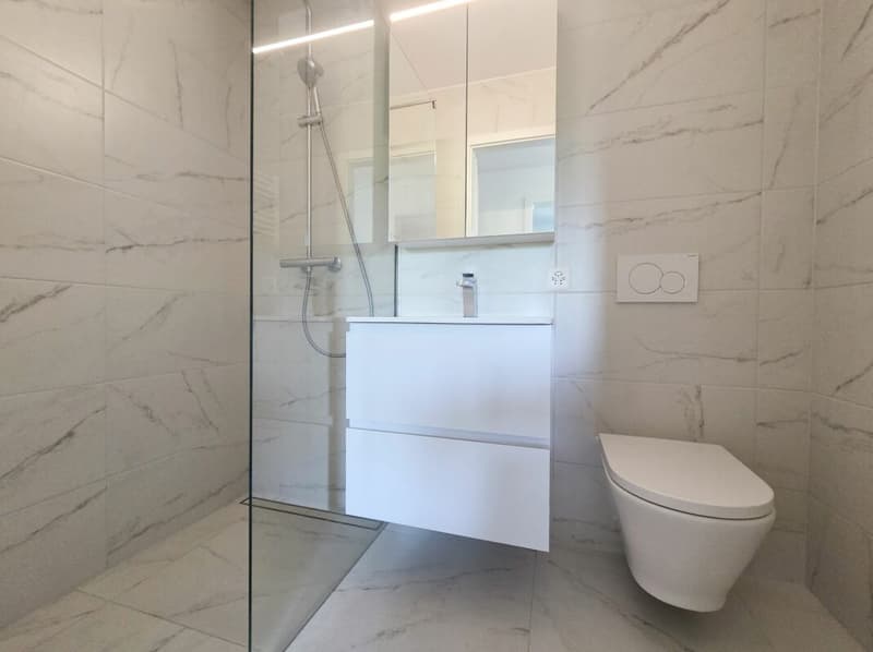 Appartement de 3.5 pièces entièrement rénové (7)