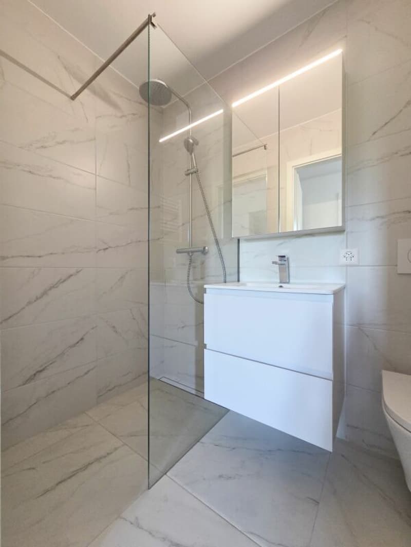 Appartement de 3.5 pièces entièrement rénové (8)