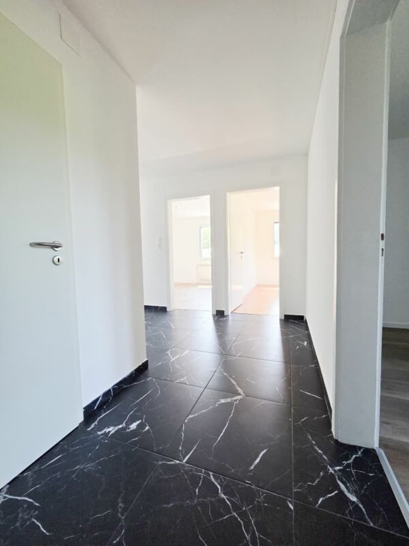 Appartement de 3.5 pièces entièrement rénové (11)