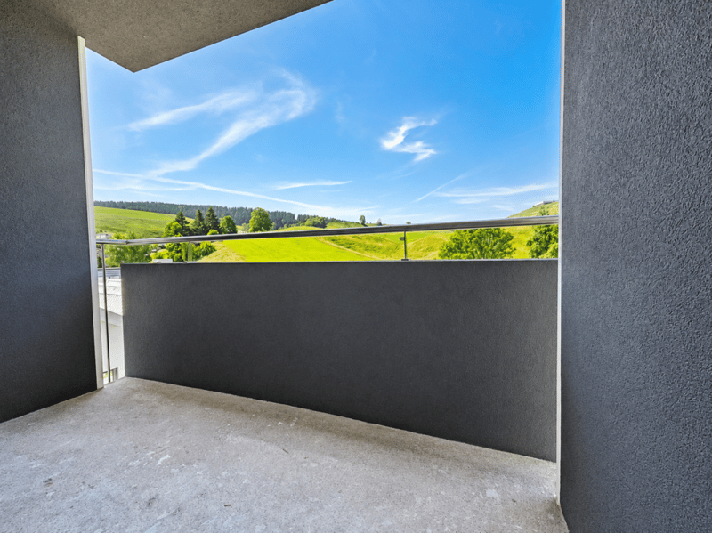 Appartement de 3.5 pièces entièrement rénové (13)