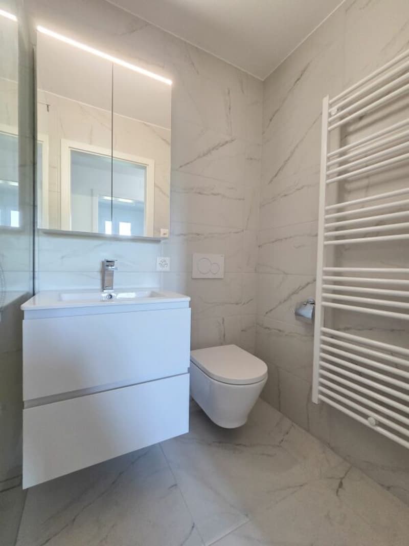 Appartement de 3.5 pièces entièrement rénové (9)