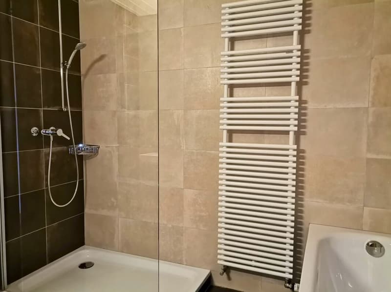 Superbe appartement de 5 pièces avec vue dégagée (16)