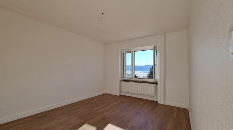 Lumineux appartement de 3 pièces entièrement rénové (3)