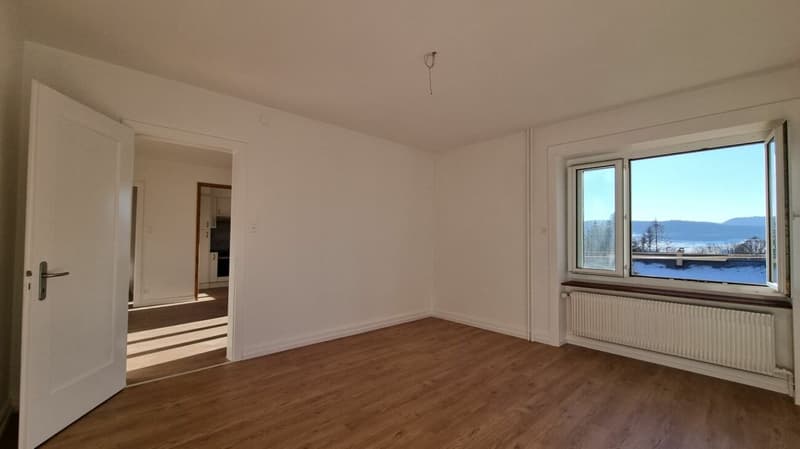 Lumineux appartement de 3 pièces entièrement rénové (6)