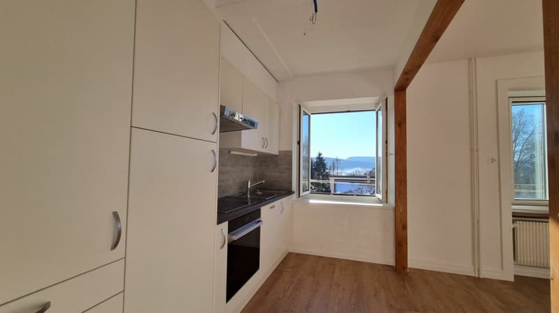 Lumineux appartement de 3 pièces entièrement rénové (5)
