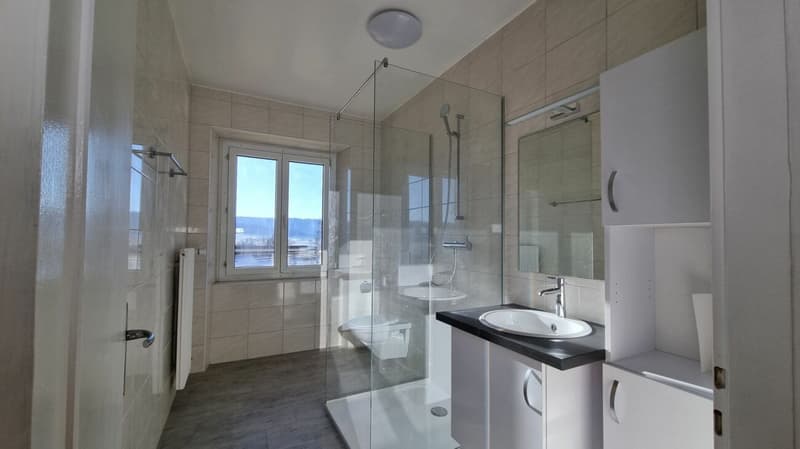 Lumineux appartement de 3 pièces entièrement rénové (8)