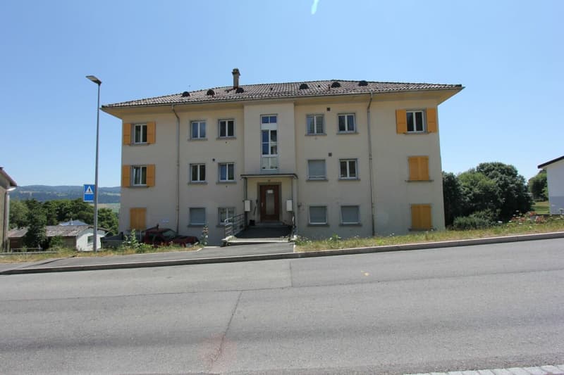 Lumineux appartement de 3 pièces entièrement rénové (9)