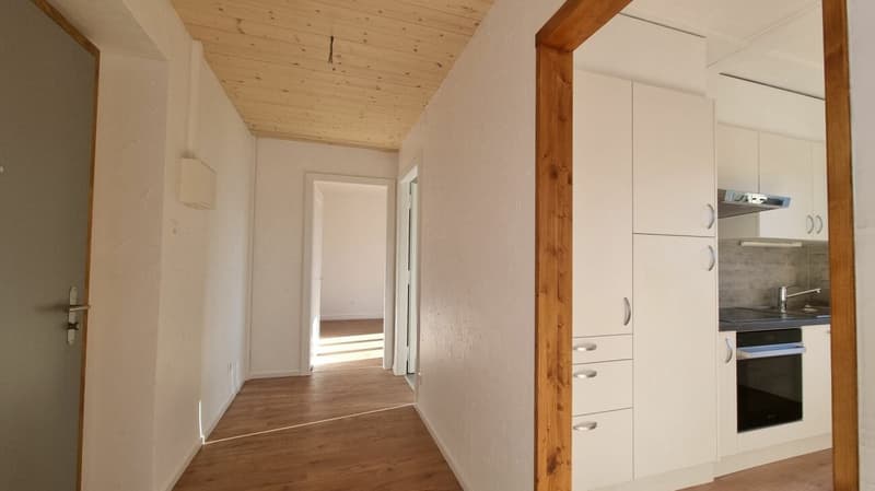 Lumineux appartement de 3 pièces entièrement rénové (4)