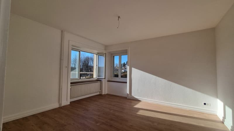 Lumineux appartement de 3 pièces entièrement rénové (7)