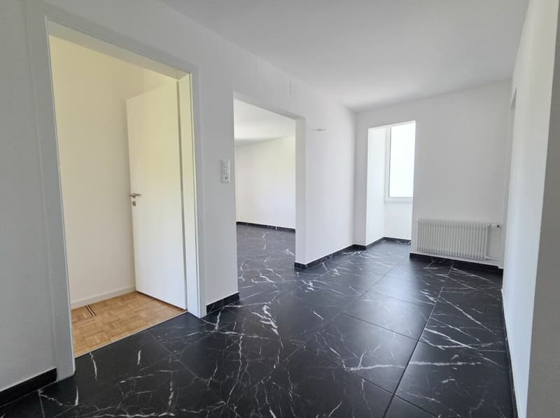 Appartement de 4.5 pièces entièrement rénové (7)