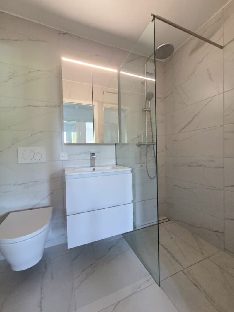 Appartement de 4.5 pièces entièrement rénové (8)