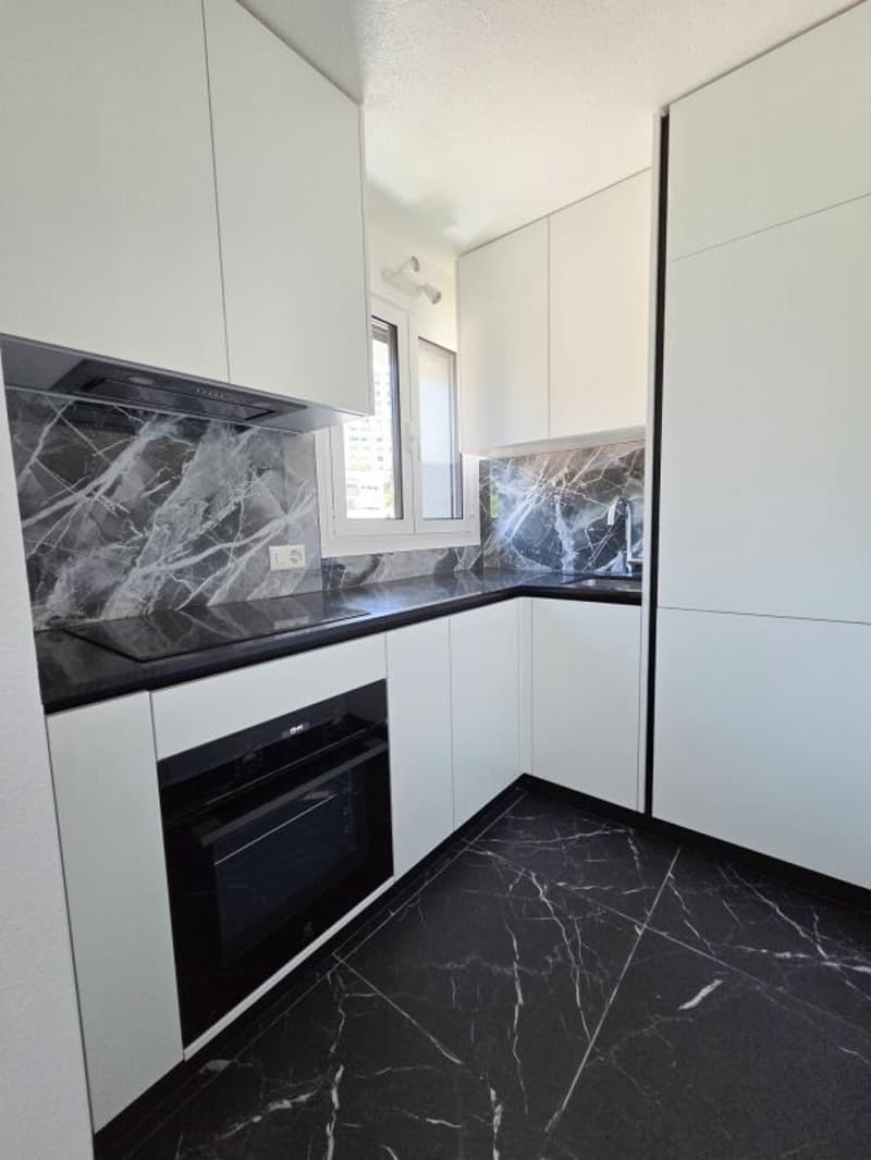 Appartement de 4.5 pièces entièrement rénové (9)