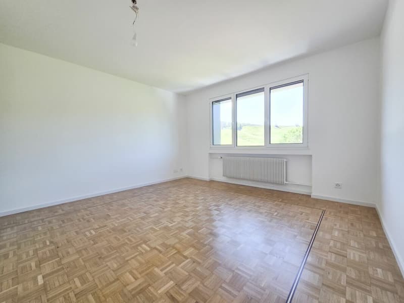 Appartement de 4.5 pièces entièrement rénové (5)
