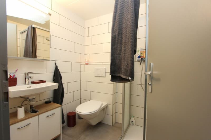Magnifique appartement de 5.5 pièces avec cachet (6)