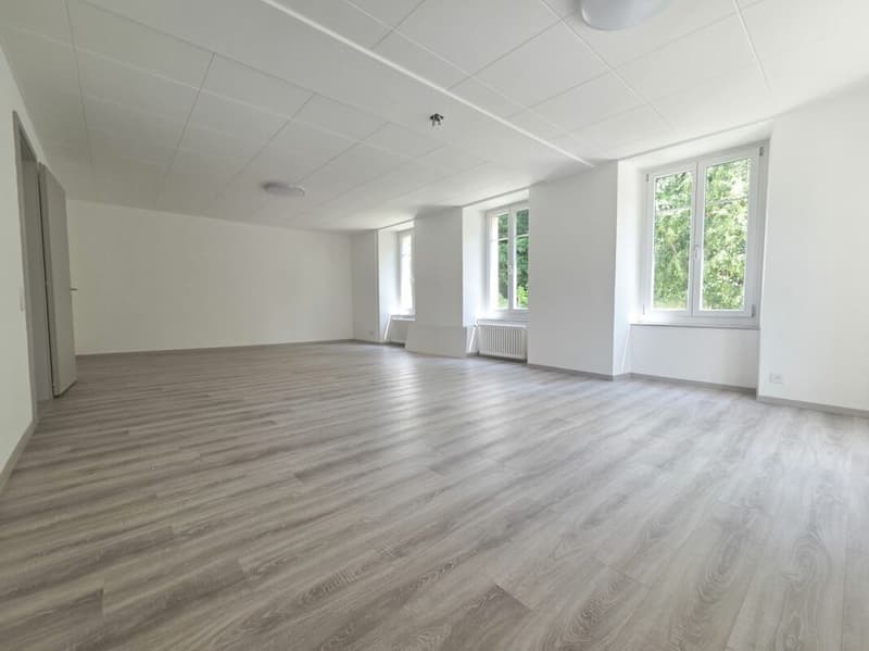 Appartement ou local commercial entièrement rénové (2)