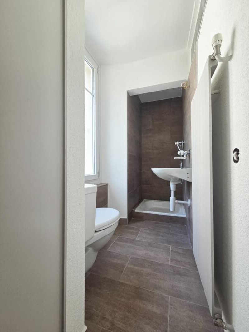 Appartement ou local commercial entièrement rénové (6)
