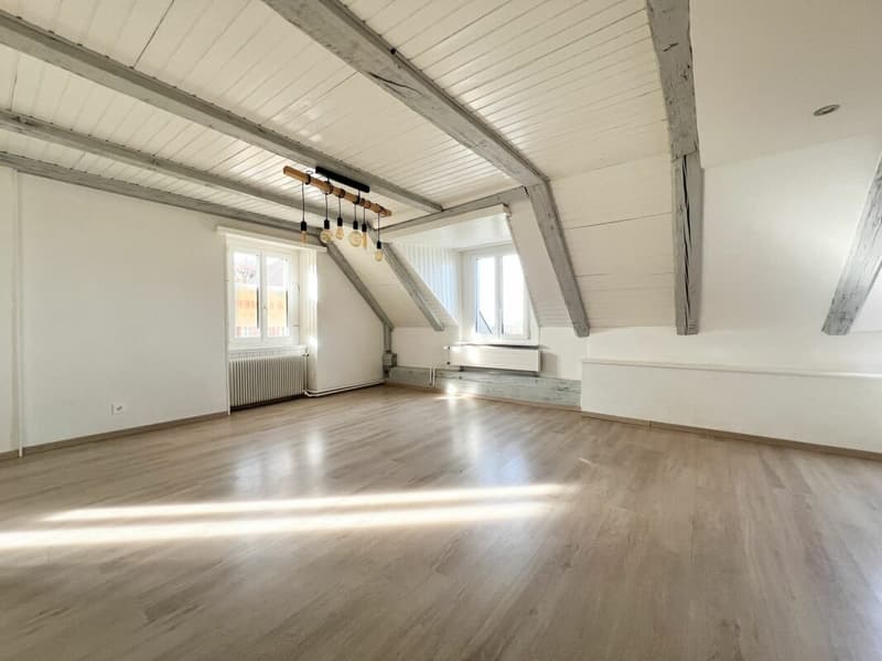 Immeuble villageois de rendement (15)