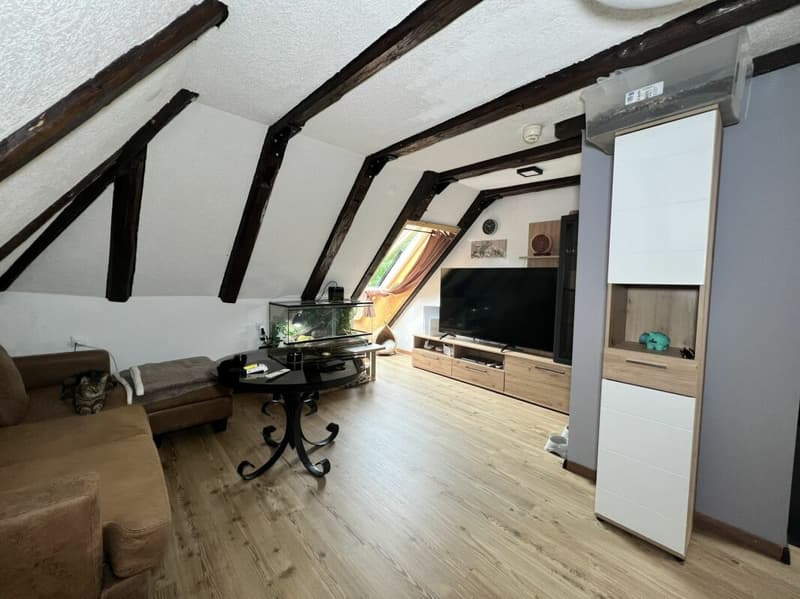 Immeuble villageois de rendement (19)