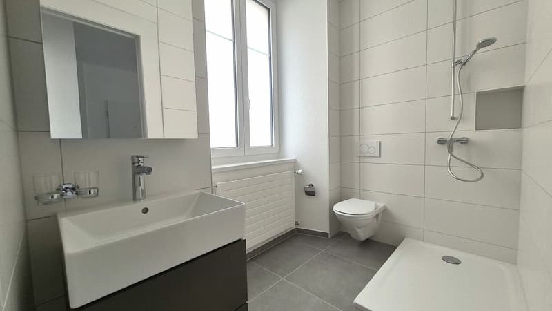 Appartement de 2.5 pièces entièrement rénové (4)