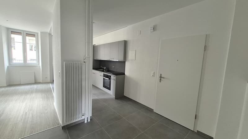 Appartement de 2.5 pièces entièrement rénové (3)
