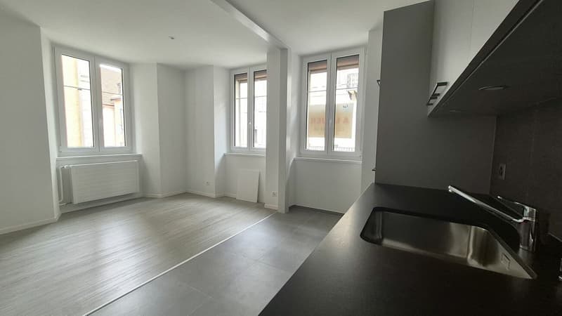 Appartement de 2.5 pièces entièrement rénové (2)