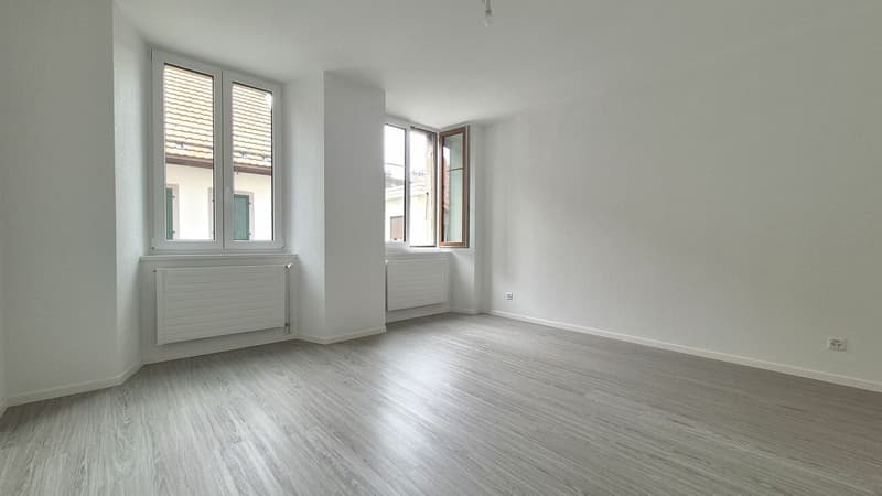 Appartement de 2.5 pièces entièrement rénové (6)