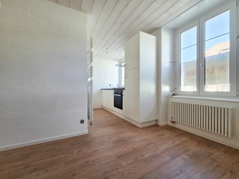 Appartement de 2.5 pièces refait à neuf ! (4)