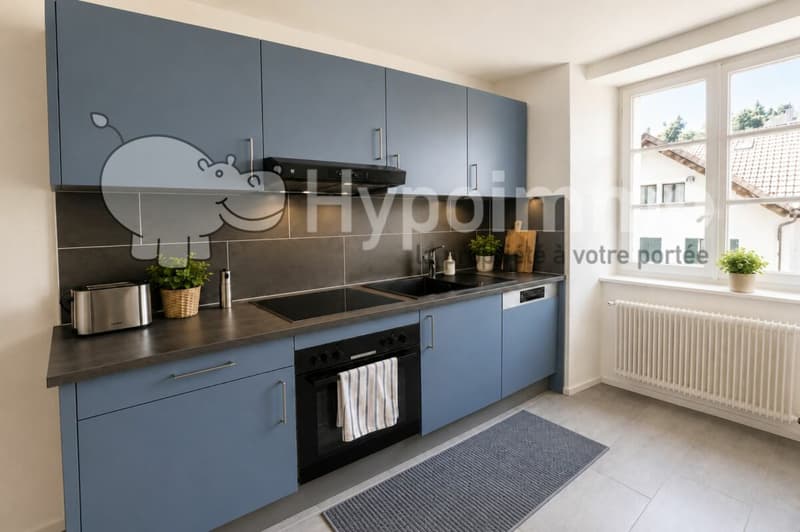 Appartement 2,5 pièces au Quartier Neuf (1)
