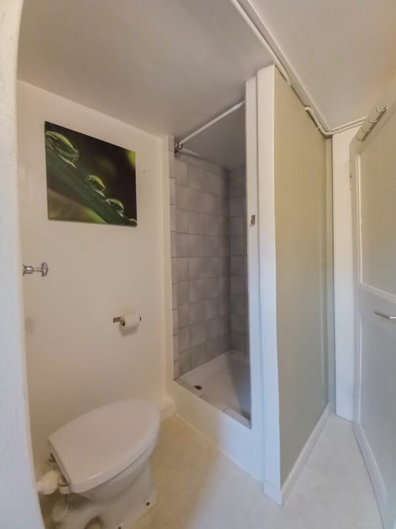Joli studio situé au Quartier Neuf (5)
