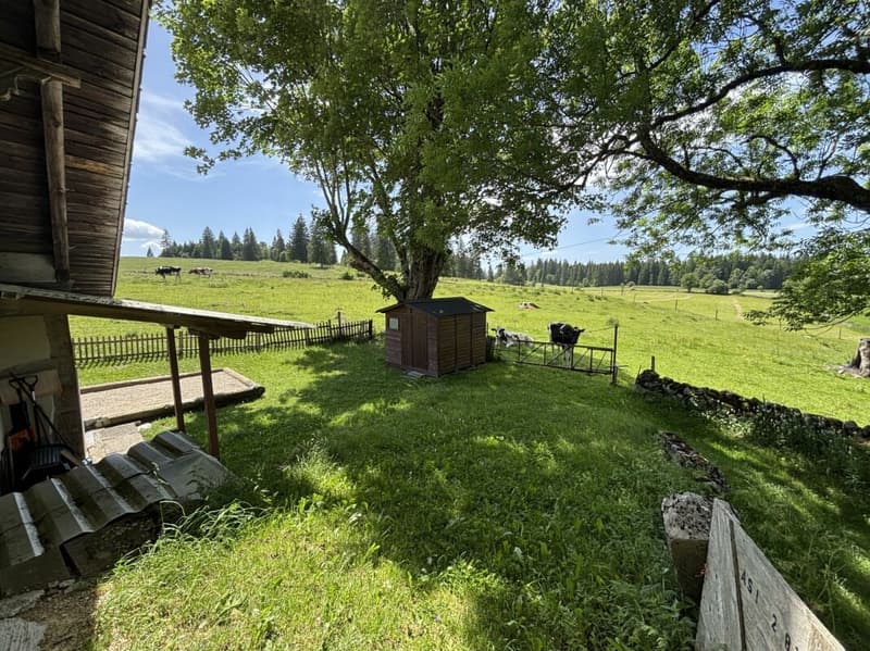 Magnifique ferme rénovée ! (21)