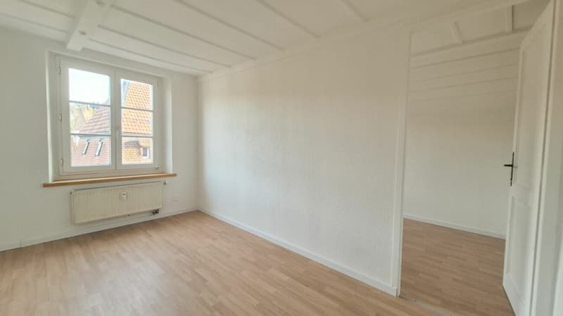 Appartement de 6,5 pièces avec jardin privatif (8)