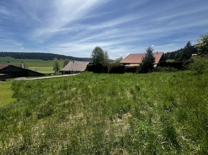 Terrain à bâtir en Zone d'Habitation à Faible Densité (4)