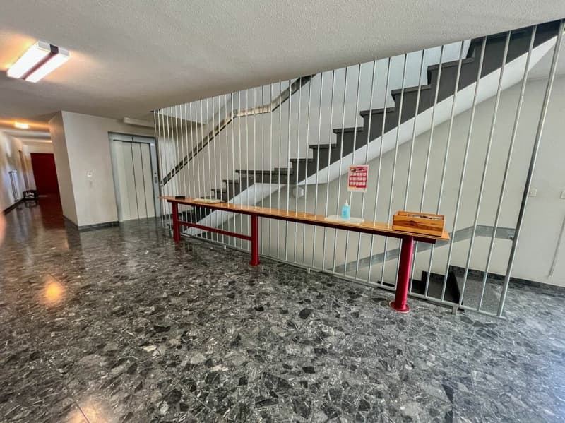 Lumineux appartement  de 5 pièces avec balcon (16)