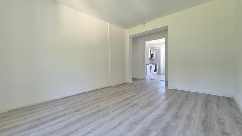 Magnifique appartement de 3 pièces entièrement rénové avec balcon - Le Locle (5)