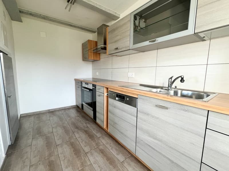 Chaleureux appartement de 3.5 pièces à la campagne (4)