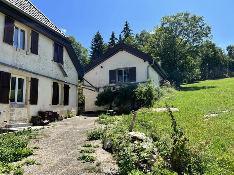 Chaleureux appartement de 3.5 pièces à la campagne (10)