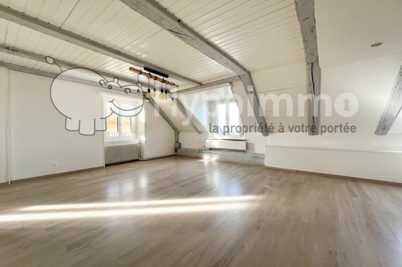 Chaleureux appartement de 3.5 pièces à la campagne (1)